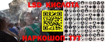 шишки Кингисепп