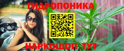 эйфоретик Коммунар
