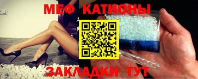 шишки Кингисепп