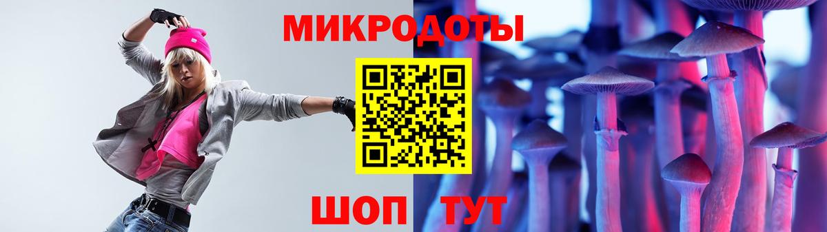 Шелехов  что такое   Вход с VPN  Галлюциногенные грибы Psilocybe 
